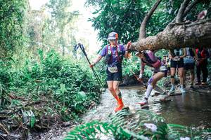 BIB: 
                            <button type="button" onclick="openModal(25456464)" class="btn btn-primary btn-sm float-right btn-popup" data-toggle="modal" data-target=".modal-high-quality">
                        <i class="fas fa-shopping-cart"></i> Add to Cart
                    </button>
                                            <button type="button" onclick="isThisMe(25456464, true)" class="btn btn-success btn-sm float-right btn-popup btn-isme hidden" data-toggle="tooltip" data-placement="bottom" title="นี่คือรูปของคุณใช่ไหม คลิกที่นี่เพื่อเอาเข้าอัลบั้ม">
                        <i class="fas fa-plus"></i> Add to album
                    </button>
                    <button type="button" onclick="isThisMe(25456464, false)" class="btn btn-warning btn-sm float-right btn-popup btn-isnotme hidden">
                        <i class="fas fa-ban"></i> Remove from album
                    </button>